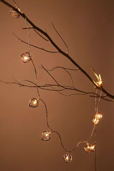 a branch with some lights hanging from it