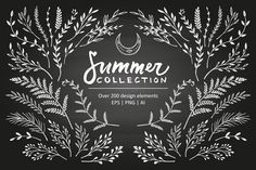 the summer collection with white leaves and branches on a black chalkboard background, hand drawn