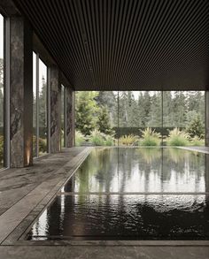 an indoor swimming pool in the middle of a room with large windows and plants on either side