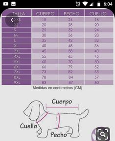 the size and measurements of a dog