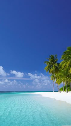 an empty beach with palm trees and clear water