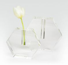 two clear vases with a single white flower in them on a white table top