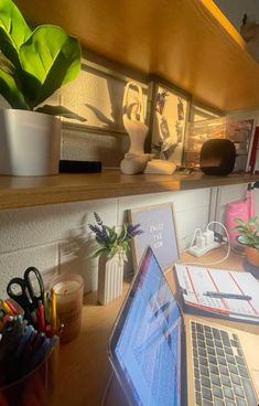 a laptop computer sitting on top of a wooden desk next to a potted plant