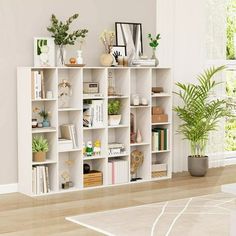 a living room filled with lots of white shelves and plants on top of them in front of a window