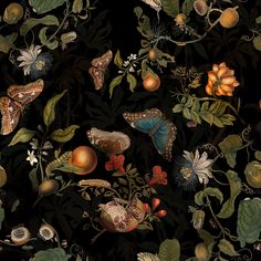 a black background with many different types of flowers and butterflies on it's sides