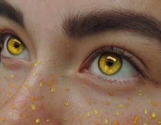 Golden Eye Color, Golden Eyes Aesthetic, Orange Eye Color, Orange Eyes, Demon Eyes, Golden Eyes, Gold Eyes, Fantasy Aesthetic