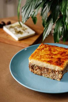 a piece of cheesecake on a blue plate next to a potted green plant