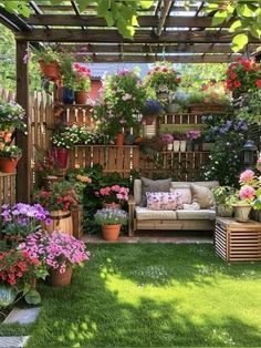 a garden with lots of potted plants and flowers