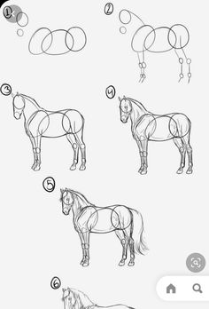 how to draw a horse step by step with pictures and instructions for beginner horses