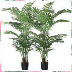 Fopamtri Artificial Areca Palm Plant 5 Feet Fake Palm Tree with 17 Trunks Faux Tree for Indoor Outdoor Modern Decoration Dypsis Lutescens Plants in Pot for Home Office (Set of 2) Areca Palm Plant, Fake Palm Tree, Artificial Plants Indoor, Fake Plants Decor, Fake Trees, Areca Palm, Silk Tree, Artificial Boxwood, Palm Plant