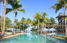 an outdoor swimming pool surrounded by palm trees