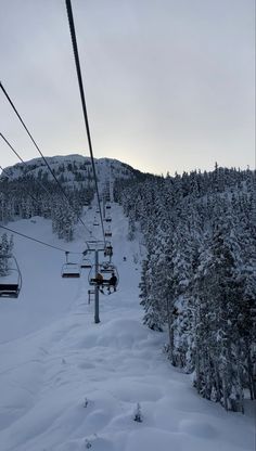 a ski lift going up the side of a snow covered mountain with trees on both sides