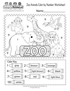 zoo animals color by number worksheet