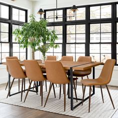 a dining room table with chairs and a potted plant in front of large windows