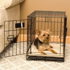 a small dog sits in its cage on the floor