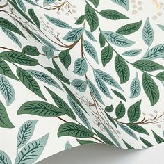 a wallpaper with green leaves and branches on it's white backgrounnd