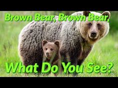 a brown bear and her cub are standing in the grass with text that reads, what do you see?