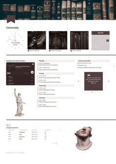 an image of a website page with bookshelves and statues in the back ground