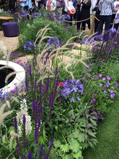 people are standing around in the garden with purple and white flowers on display at an outdoor event