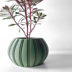 a plant in a green vase on a white surface