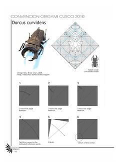 the instructions for how to make an origami scarra with pictures on it