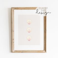 three seashells are mounted on the wall above a framed art print that reads clarire sky design