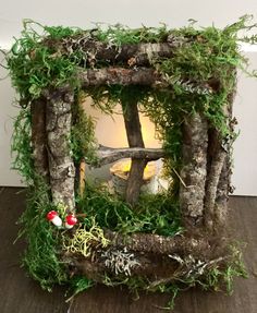 a small wooden frame with moss and mushrooms in it