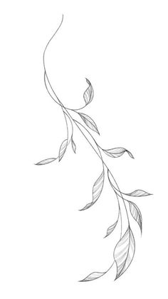 a line drawing of a branch with leaves