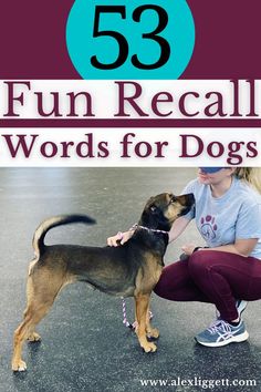 a woman kneeling down petting a dog with the title 53 fun recall words for dogs