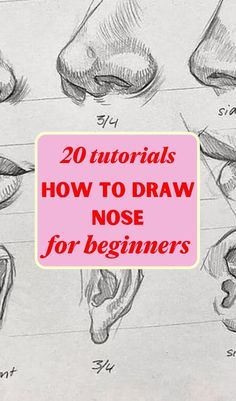 the instructions for how to draw nose for beginners are shown in this drawing book