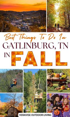 Best Things To Do In Gatlinburg In Fall Gatlinburg Fall, Mountains In The Fall, Pigeon Forge Restaurants, Tennessee Living, Gatlinburg Tennessee Vacation, Things To Do In Gatlinburg, Pigeon Forge Vacation, Ober Gatlinburg, Smoky Mountains Tennessee