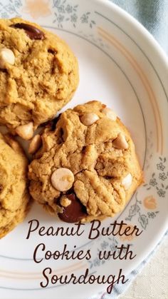 three peanut butter cookies with sourdough on a white and blue plate text reads, peanut butter cookies with sourdough