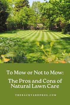 a lawn with the words to mow or not to mow the pros and cons of natural lawn care