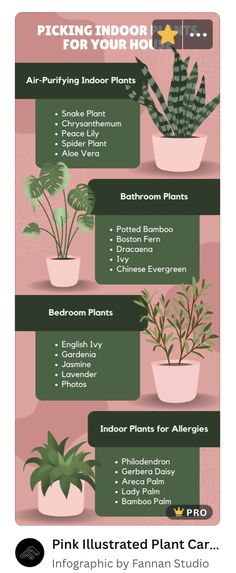 a poster showing different types of houseplants and their uses for indoor plant care