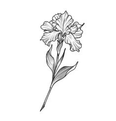 a black and white drawing of a flower