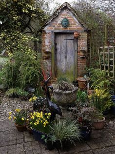 an outdoor garden area with potted plants and a wooden door in the middle of it