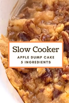 a close up of a bowl of food with the words slow cooker apple dump cake ingredients