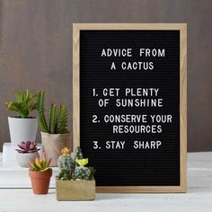 a sign that says advice from a cactus and some succulents next to it