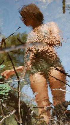 a reflection of a child in the water with trees and branches around him, as if he was walking