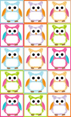 an image of owls with different colors