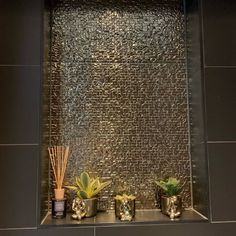 three succulents are sitting on a shelf in front of a tiled wall