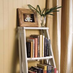 a book shelf with books and a potted plant