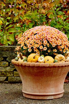 a large pot filled with lots of flowers and pumpkins