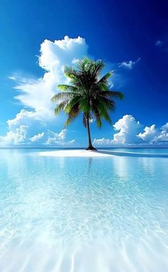 a palm tree on an island in the middle of the ocean with blue sky and clouds