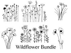 the wildflower bundle is shown in black and white, with flowers drawn on it