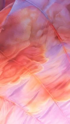 an abstract photograph of pink and orange feathers