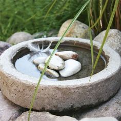 there is a bowl with rocks in it on the ground and grass behind it,