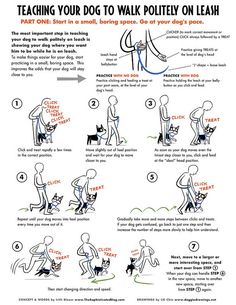 instructions to teach your dog to walk on leashes and how to use the leash