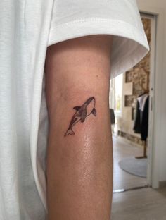 a person with a dolphin tattoo on their arm