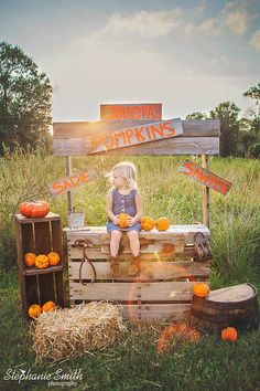 Stephanie Smith Photography: Pumpkin Patch Sample Session Fall Mini Shoot, Fall Photo Booth, Halloween Mini Session, Fall Backdrops, Pumpkin Stand, Photo Halloween, Mini Photo Sessions, Pumpkin Stands, Halloween Toddler